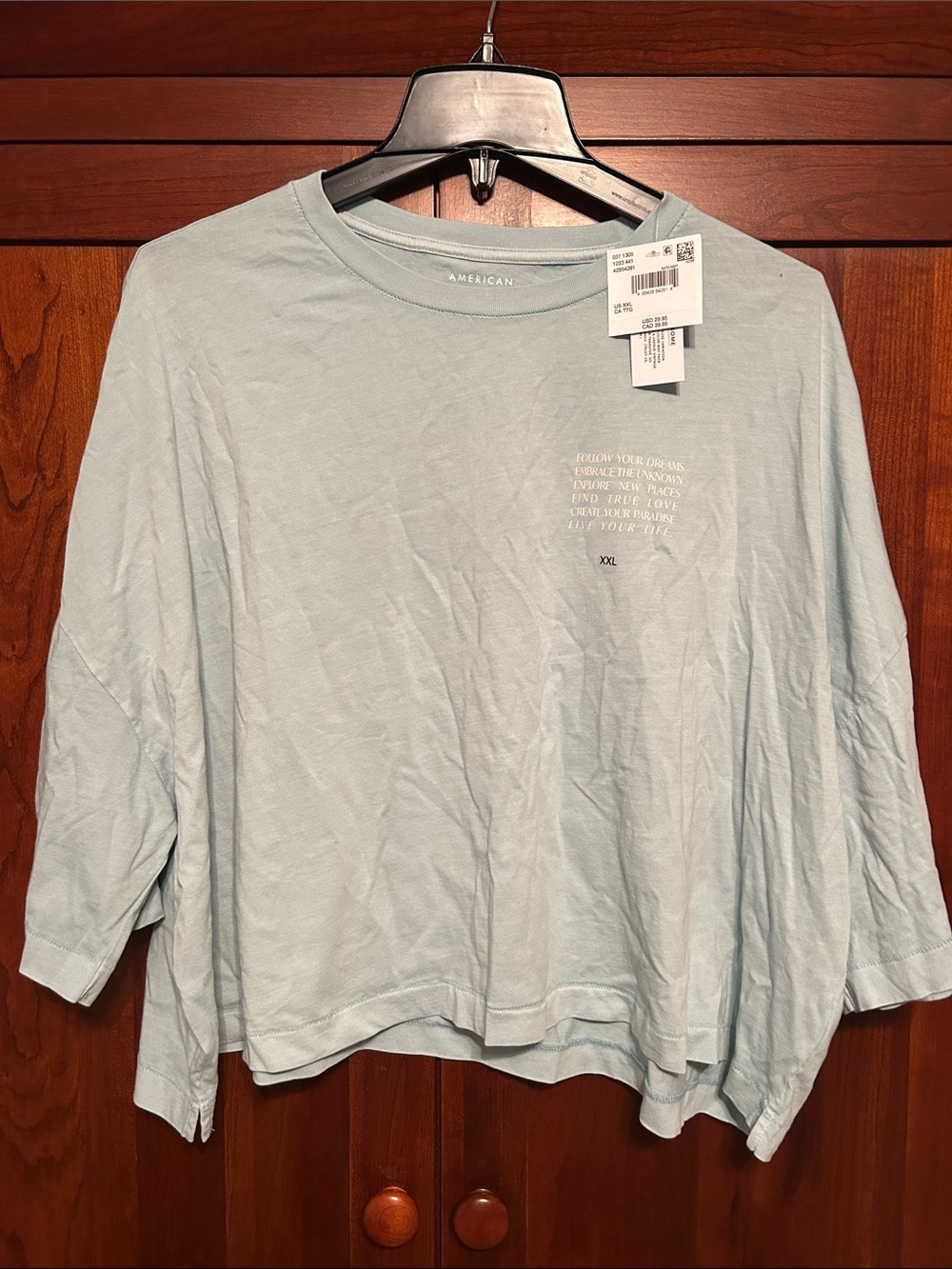 American Eagle Outfitters Pale Blue short sleeve Crop Tee